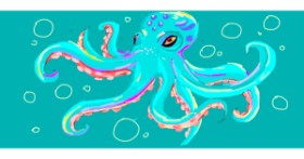 Drawing of Octopus by Zigzag