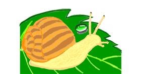 Schnecke-Zeichnung von Vicki