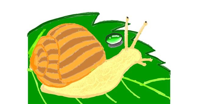 Drawing of Snail by Vicki