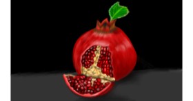 Drawing of Pomegranate by Aminich