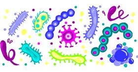 Drawing of Bacteria by Ling