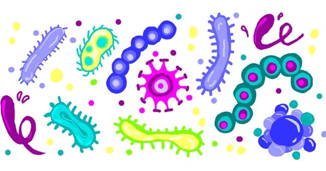 Bakterium-Zeichnung von Ling
