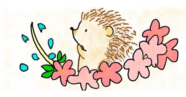 Drawing of Hedgehog by Corgi