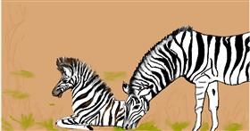 Drawing of Zebra by Maggy