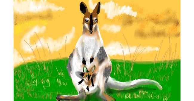 Drawing of Kangaroo by SAM AKA MARGARET 🙄