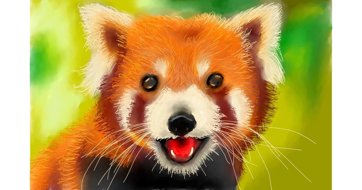 Drawing of Red Panda by Humo de copal