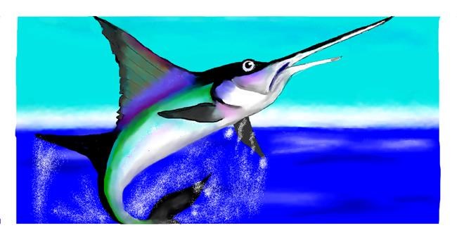 Drawing of Swordfish by DebbyLee