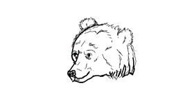 Drawing of Bear by Anonymous