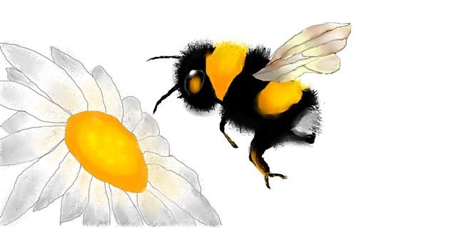 Drawing of Bumblebee by S.Elizabeth