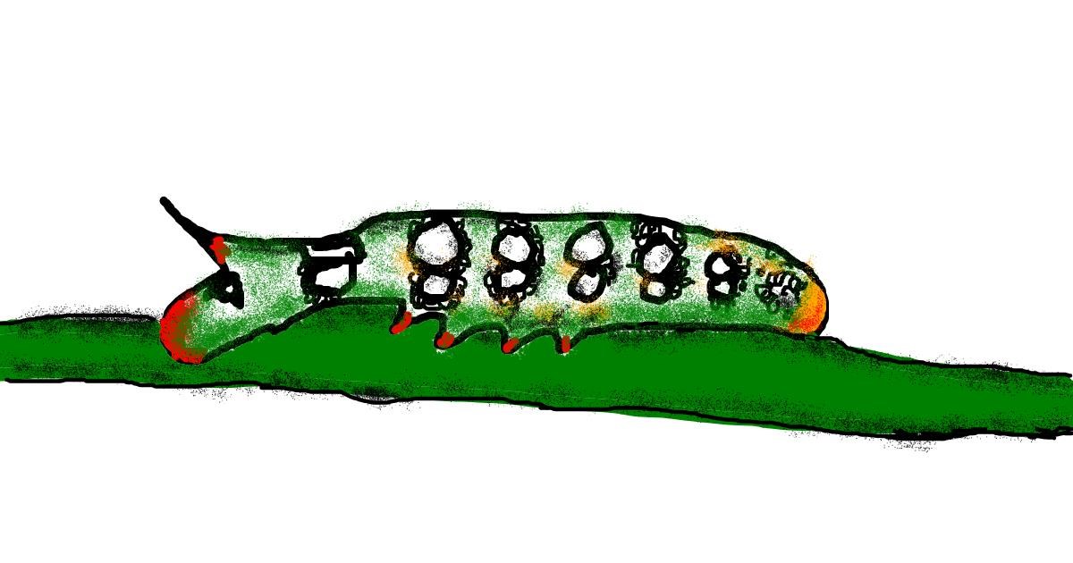 Drawing of Caterpillar by Ethan