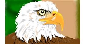 Drawing of Eagle by Tim