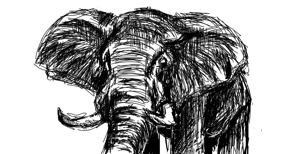 Drawing of Elephant by jasluna