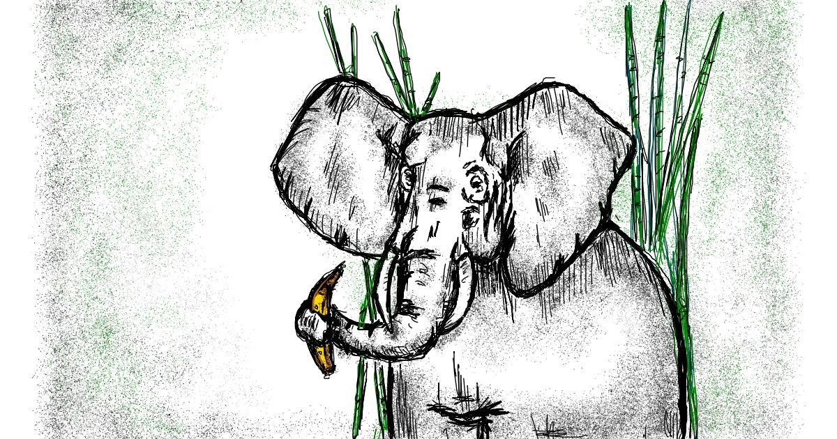 Drawing of Elephant by Babyone