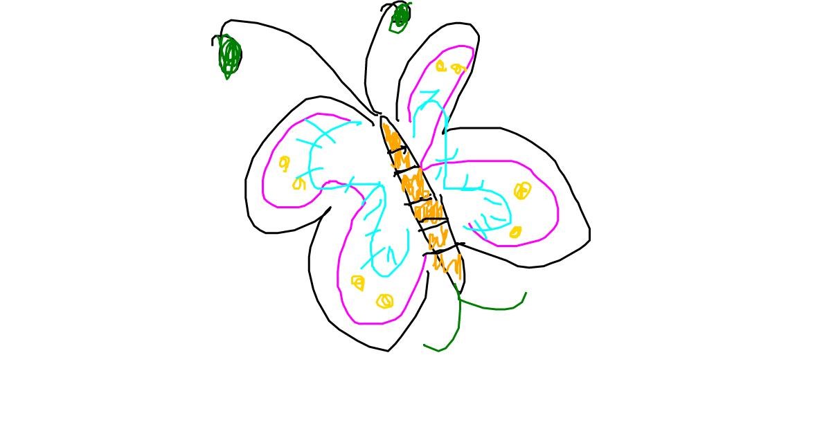 Drawing of Butterfly by Anonymous
