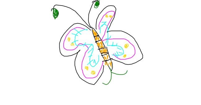 Drawing of Butterfly by Anonymous