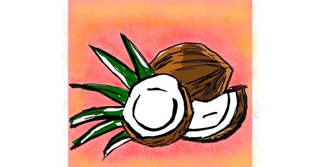 Drawing of Coconut by Kat