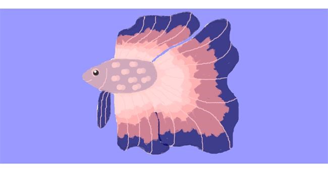Drawing of Fish by Sorya