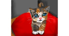 Drawing of Kitten by Lola