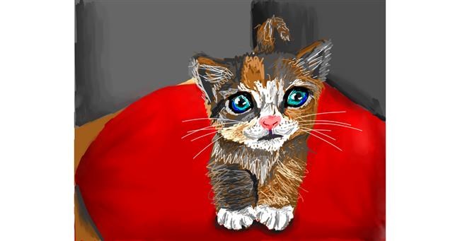 Drawing of Kitten by Lola