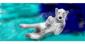 Drawing of Polar Bear by Kim