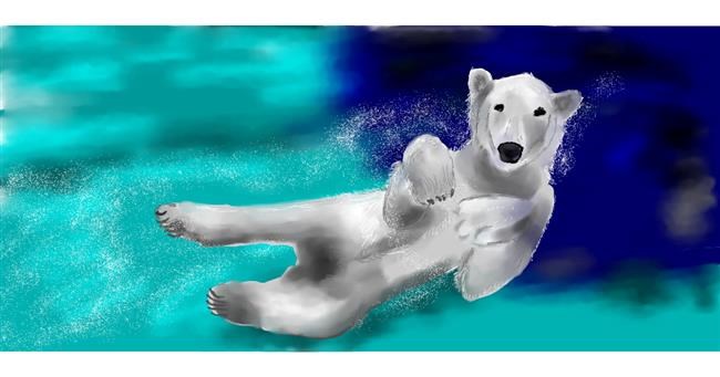 Drawing of Polar Bear by Kim