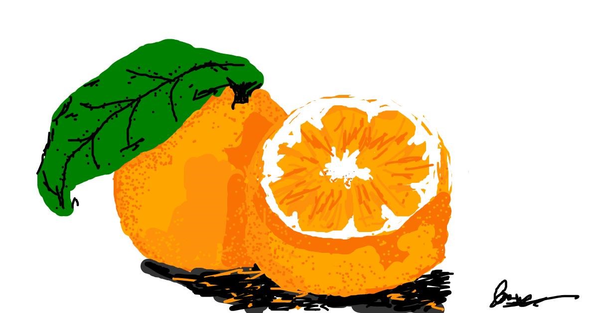 Drawing of Orange by ;kthkth