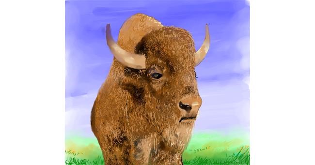 Drawing of Bison by Bugoy