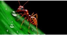 Mrav - autor: Eclat de Lune