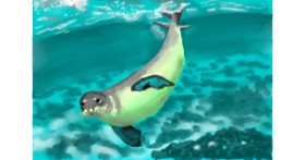 Drawing of Seal by VinnievanG
