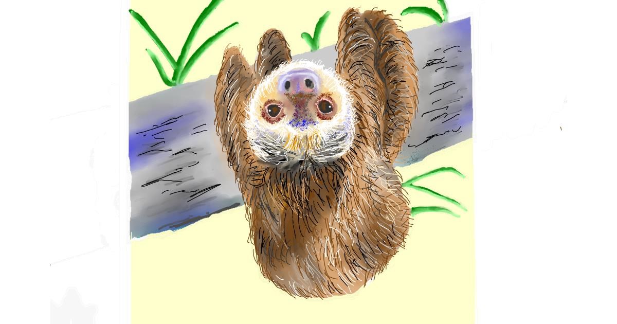 Drawing of Sloth by GJP