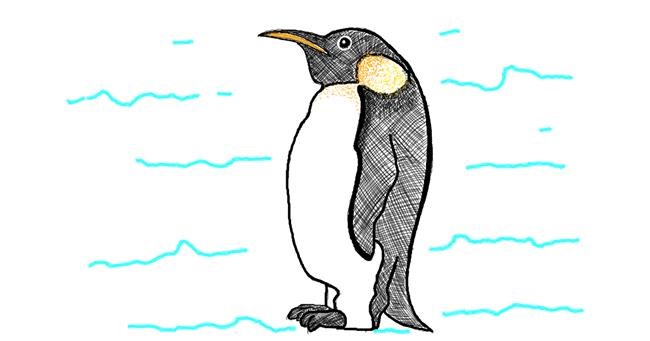 Drawing of Penguin by Ariaria