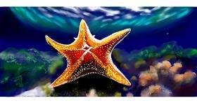 Drawing of Starfish by Chaching