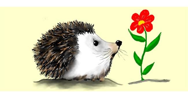 Drawing of Hedgehog by Debidolittle