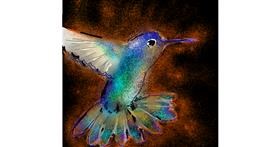 Drawing of Hummingbird by Eclat de Lune