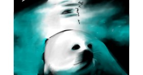 Drawing of Seal by nightblade