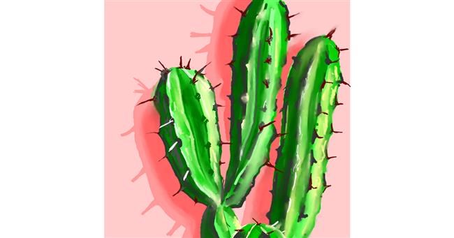 Drawing of Cactus by ⋆su⋆vinci彡