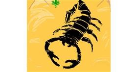 Drawing of Scorpion by Diana