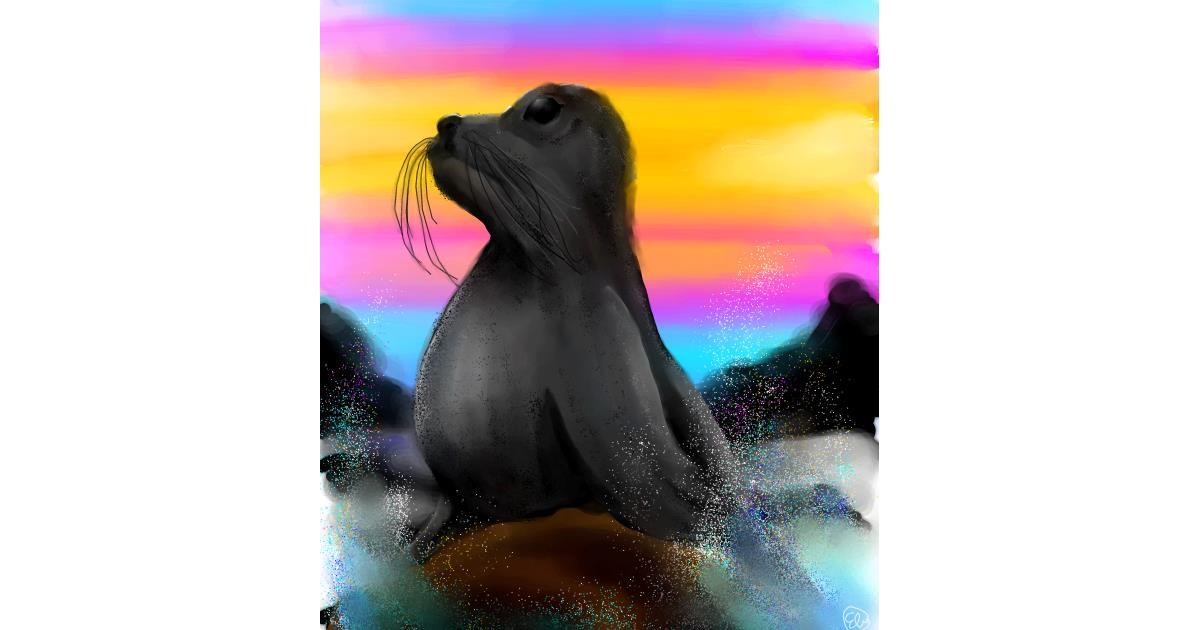 Drawing of Seal by 🌌Mom💕E🌌