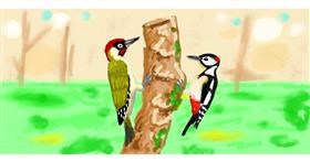 Drawing of Woodpecker by shiNIN