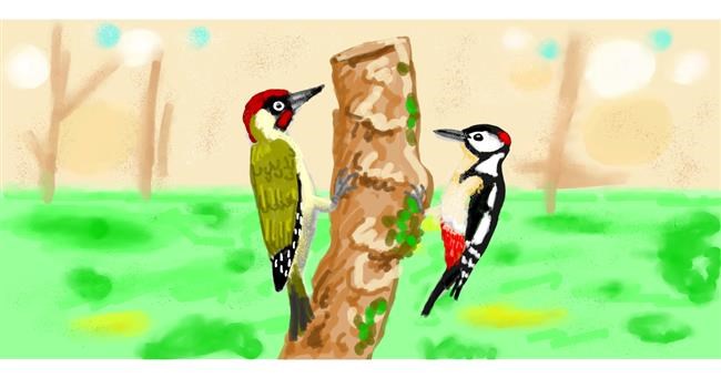 Drawing of Woodpecker by shiNIN
