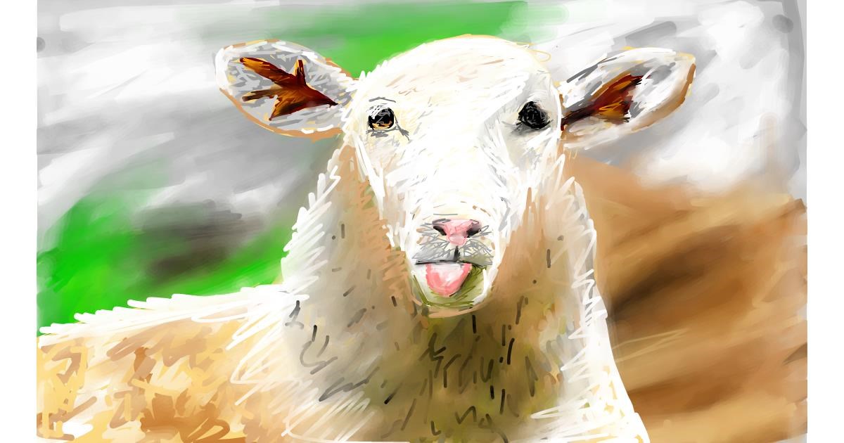 Drawing of Sheep by Soaring Sunshine