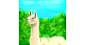 Drawing of Llama by Andromeda