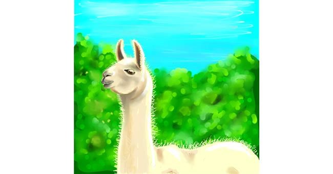 Drawing of Llama by Andromeda