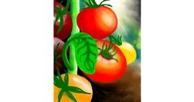 Tomate-Zeichnung von Fufu