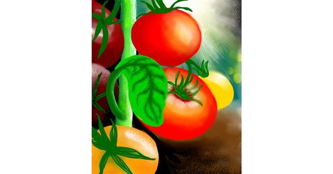 Tomate-Zeichnung von Fufu