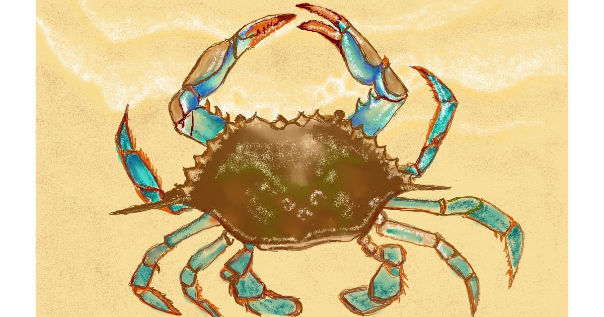 Drawing of Crab by Tim