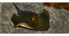 Drawing of Stingray by Çhåching