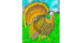 Drawing of Turkey by 👽mint