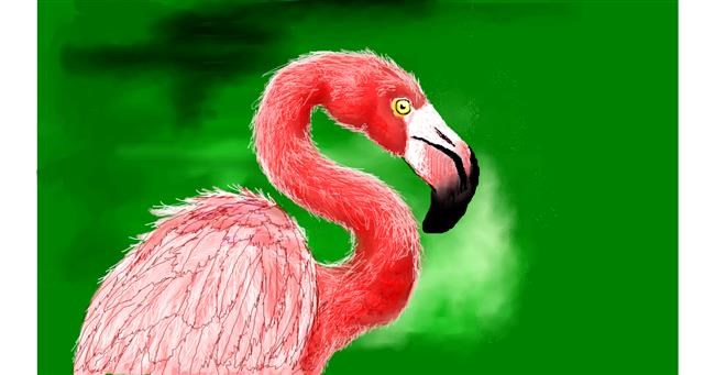 Flamingo-Zeichnung von DaVinky