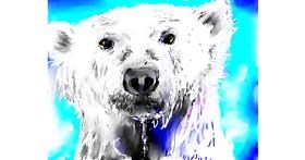 Drawing of Polar Bear by Andrea